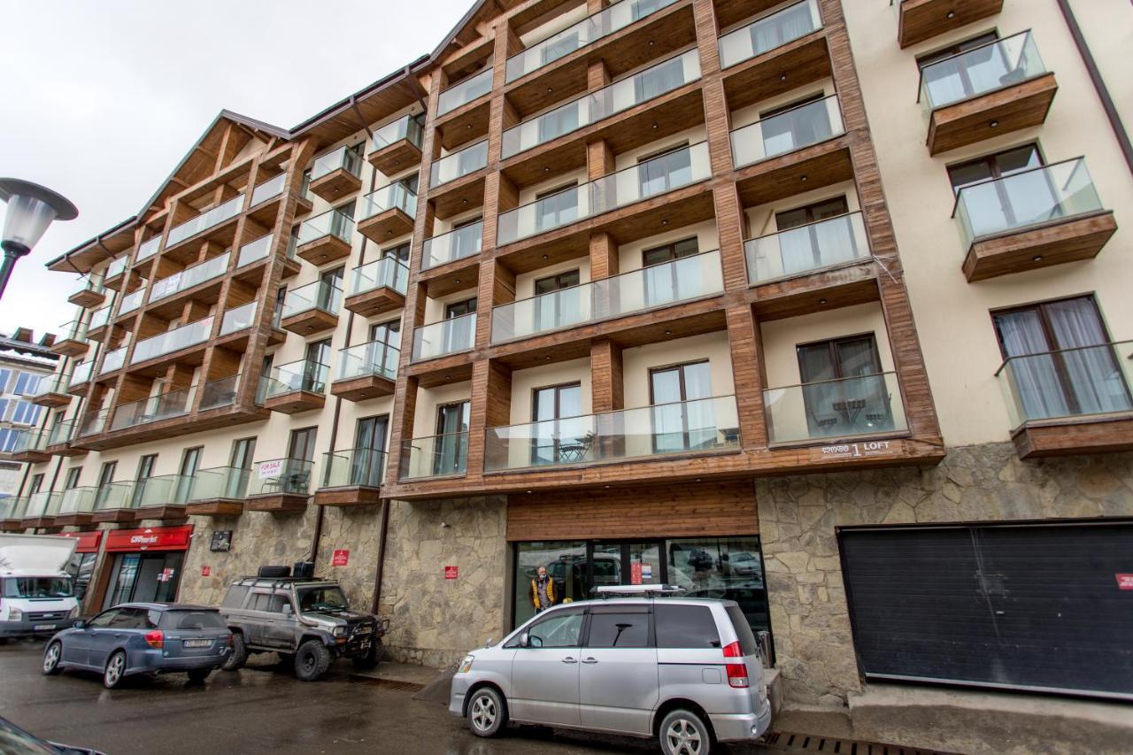 Mountain View 1Br Apartment 101 - Loft 1 Gudauri Exteriér fotografie